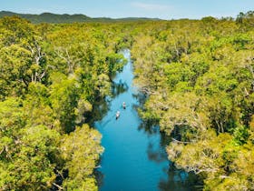 Noosa Everglades