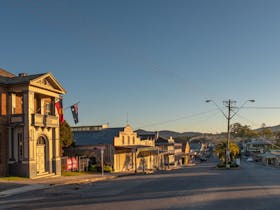 Phoenix Gallery and Cafe