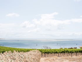 Bay of Shoals Wines