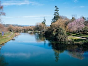 Deloraine River Walk