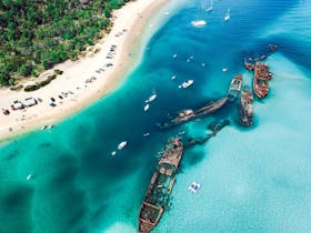 The Wrecks Dive Site at Moreton Island