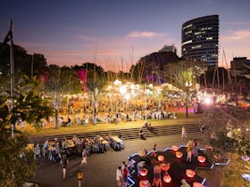 Darwin Festival