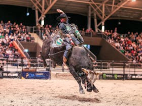 PBR Monster Energy Tour Maryborough Invitational