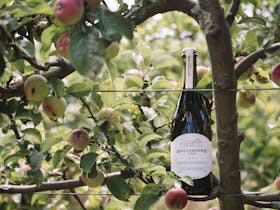 Daylesford Cider Company