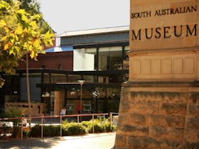 South Australian Museum