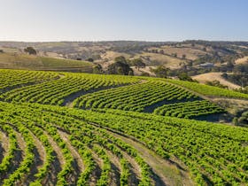 Grenache & Gourmet: Tale of Two Terroirs: Blewitt Springs & Clarendon Tasting with Hickinbotham