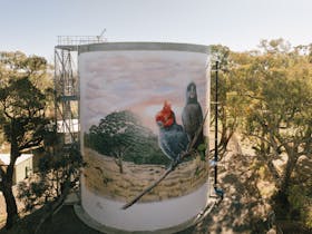 Murrumbateman Water Tank Mural