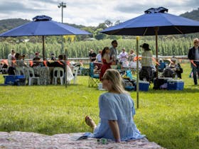 Healesville Picnic Races - Summer Fun