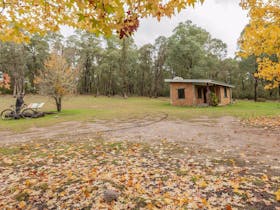 Major Clews Hut Walking Track