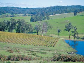 Geographe Alternative Wine Trail