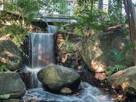 Mackay Regional Botanic Gardens