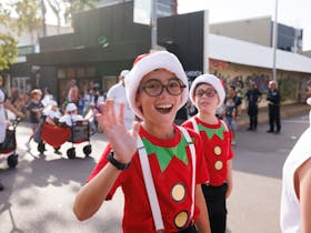 A Very Darwin Christmas Pageant