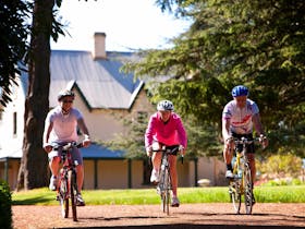 Great Western Tiers Cycling Trail - Great Country Ride