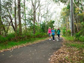 Coffs Creek and Harbour Loop