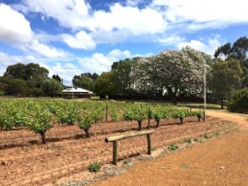 Mann Winery