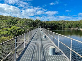 Manly Dam Walks