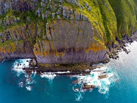 Newland Head Conservation Park