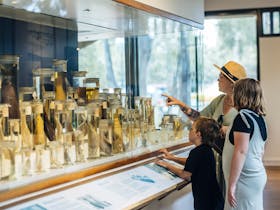 Bribie Island Seaside Museum