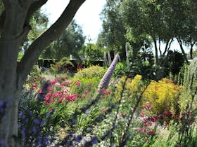 Lambley Nursery and Gardens