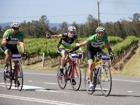 Harbour2Vine Cycle Classic