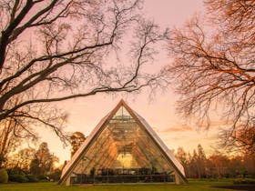 The Robert Clark Conservatory