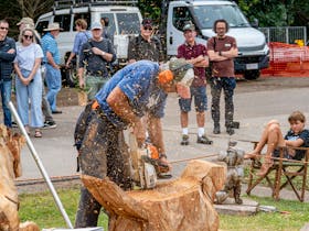 Maleny Wood Expo