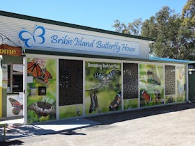 Bribie Island Butterfly House