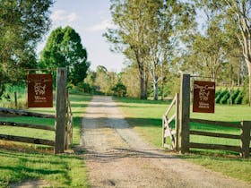 Dingo Creek Vineyard