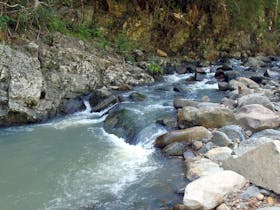 Bellthorpe National Park