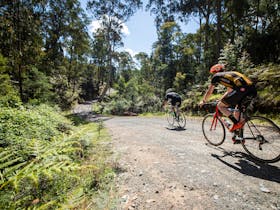 Il Monte - Gravel Ride