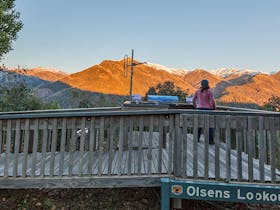 Olsens lookout