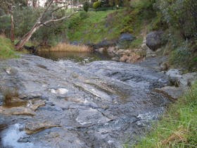 Glacier Rock