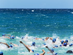 Hamilton Island Endurance Series - Hamilton Island Ocean Swim