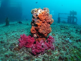 HMAS Brisbane Dive Site