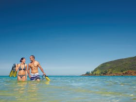 Snorkelling on Keswick Island