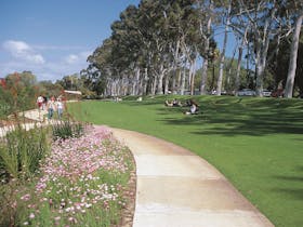 Kings Park Botanical Walks