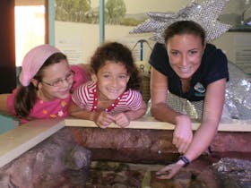 Central Coast Marine Discovery Centre