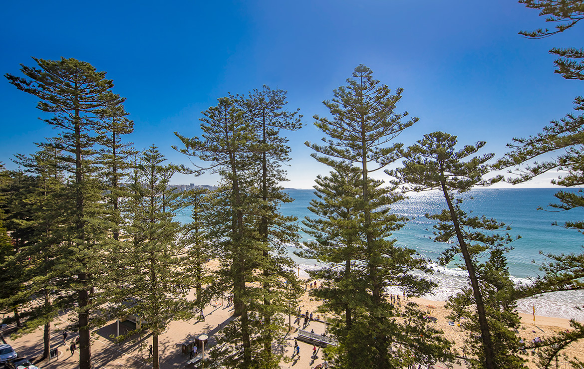 Peppers-Manly-Beach-reception-trees Peppers Manly Beach | Accor Vacation Club | Time Share ManlyBoasting a fantastic location at the southern end of Sydney’s famed Manly Beach, Peppers Manly Beach is just steps away from some of the very best boutiques, restaurants and entertainment venues in the region!