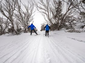 Perisher Range cross-country ski trails