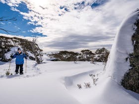 Rock Creek snowshoe track