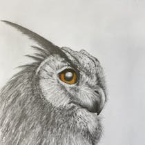 Realistic Drawing Class for Teens