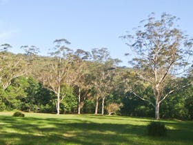 Red Cedar Flat picnic area