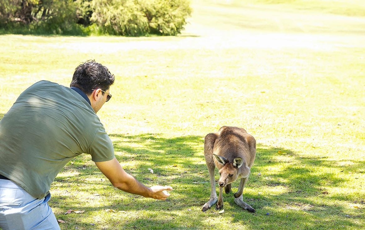 the-sebel-swan-valley-the-vines-accor-vacation-club-facilities5 The Sebel Swan Valley The Vines | Accor Holidays | Accor TimeshareThe Sebel Swan Valley The Vines is located 35 minutes from Perth in Western Australia in close proximity to some of the world’s best wineries.