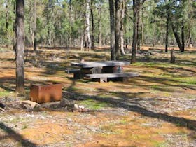 Two Dams picnic area