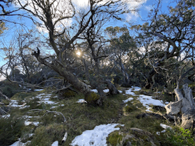 Mount Torbreck Summit Walk