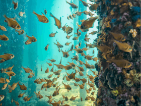 Busselton Jetty